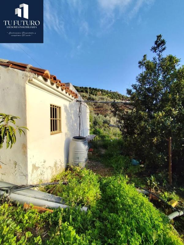 Działka na sprzedaż w Torrox, Malaga photo 3
