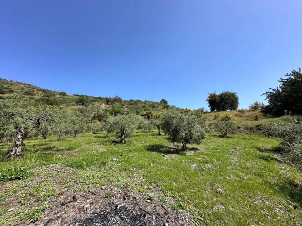 Terreno en Solana s/n photo 1