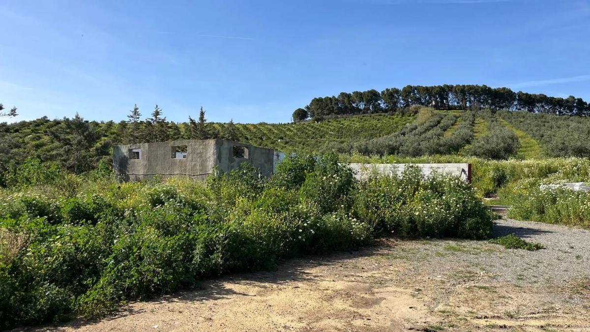 Terreno en venta en Pizarra, Malaga photo 3