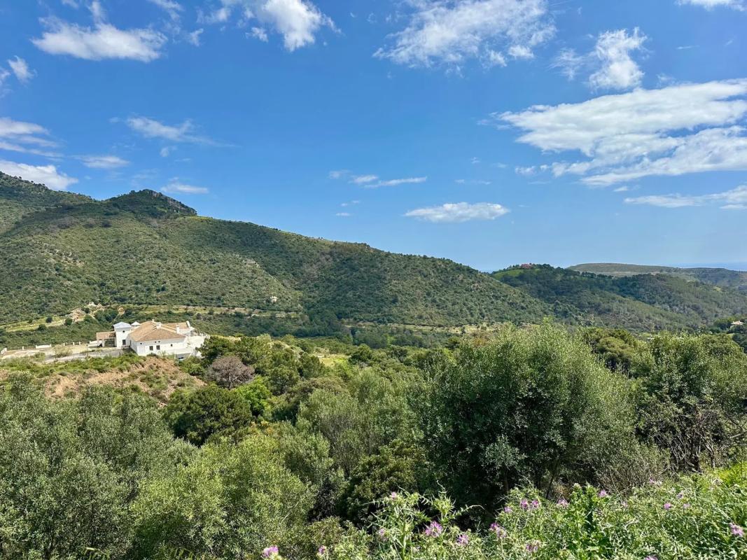 Terreno en venta en Benahavís, Malaga photo 2