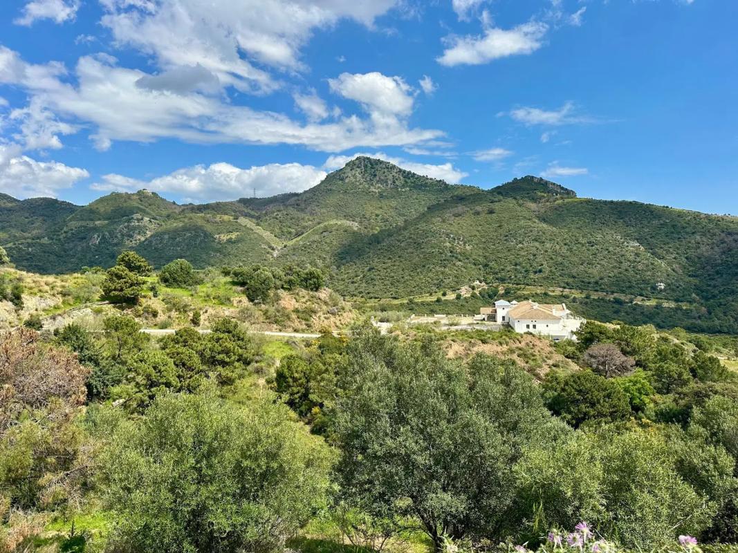 Terreno en venta en Benahavís, Malaga photo 3