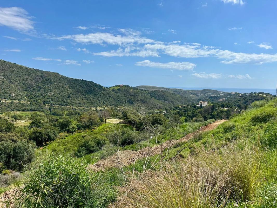 Terreno en venta en Benahavís, Malaga photo 4