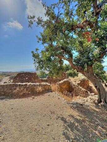 Terreno en Benajarafe photo 1