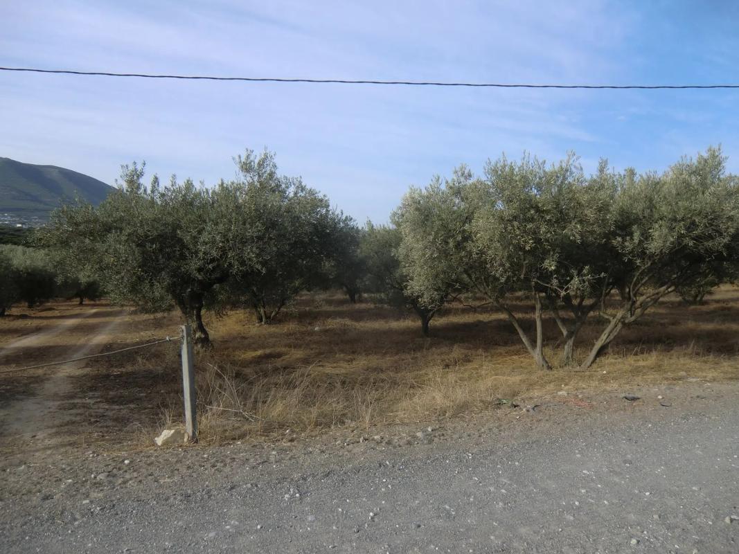 Land for sale in Alhaurín de la Torre, Malaga photo 2