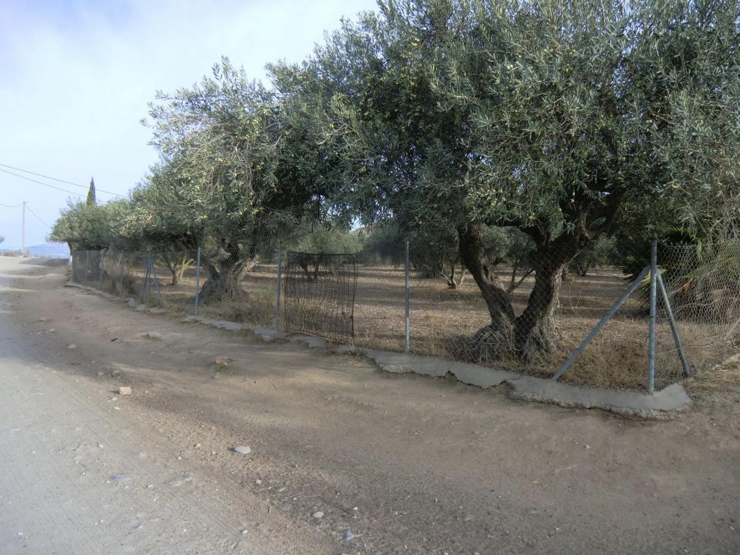 Land for sale in Alhaurín de la Torre, Malaga photo 3