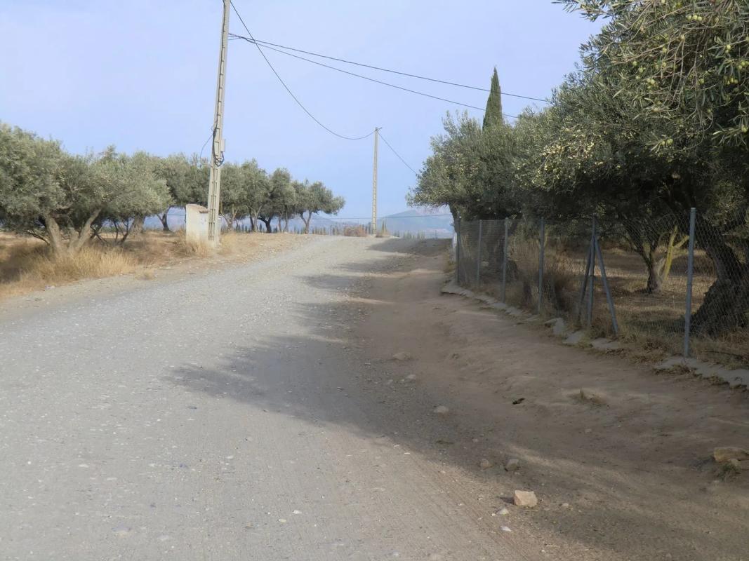 Land for sale in Alhaurín de la Torre, Malaga photo 4