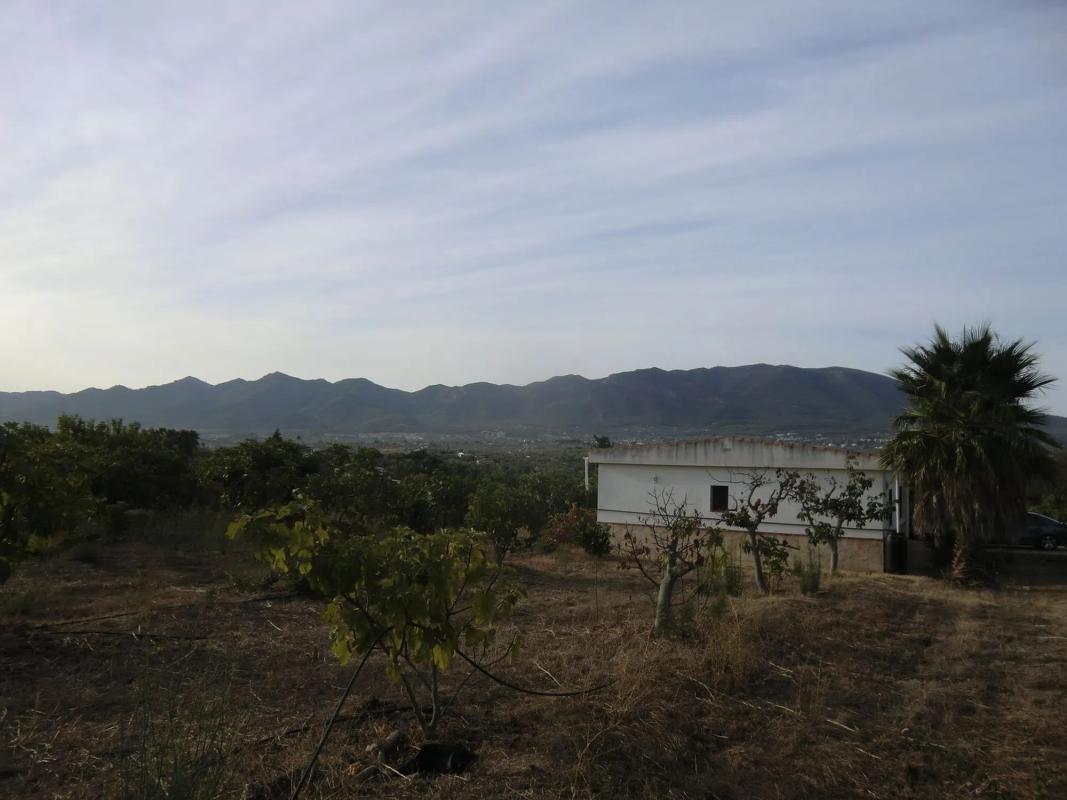 Land for sale in Alhaurín de la Torre, Malaga photo 5