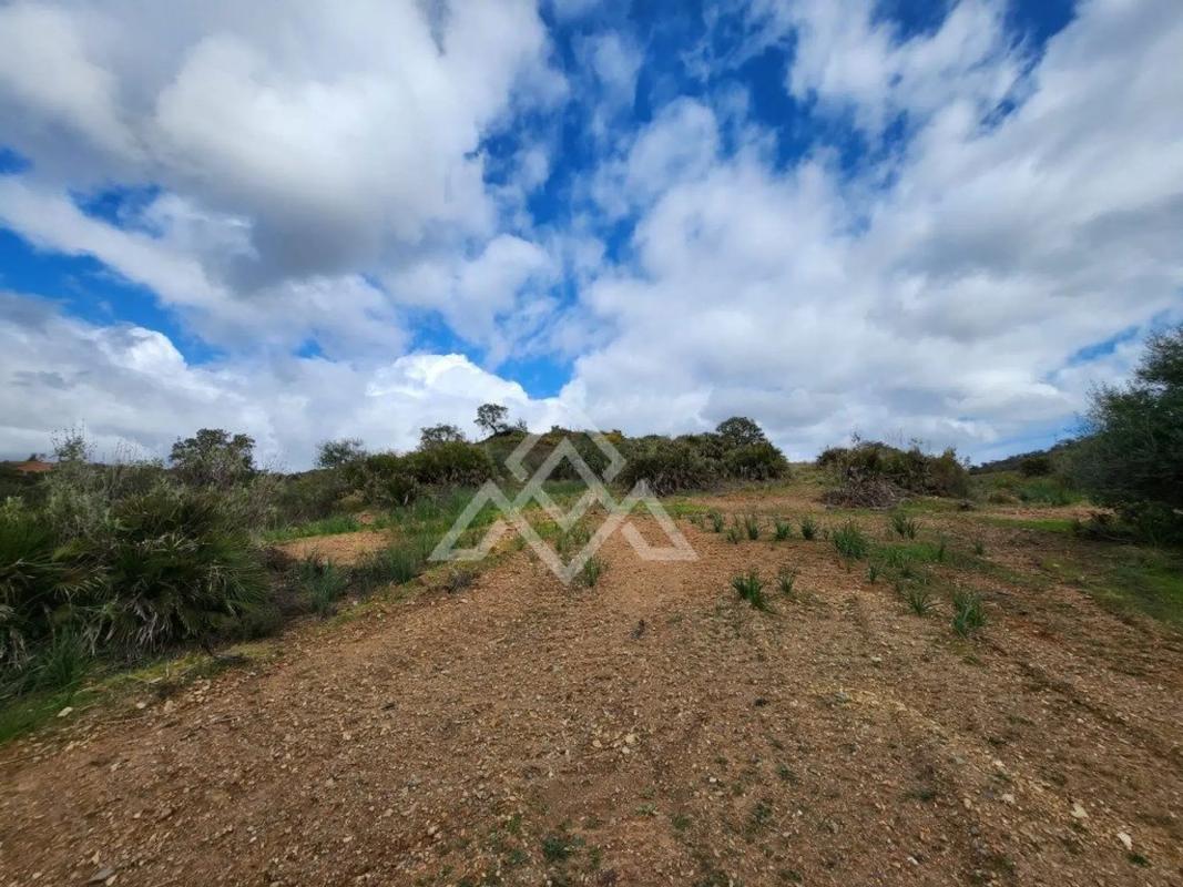Land for sale in Mijas, Malaga photo 3