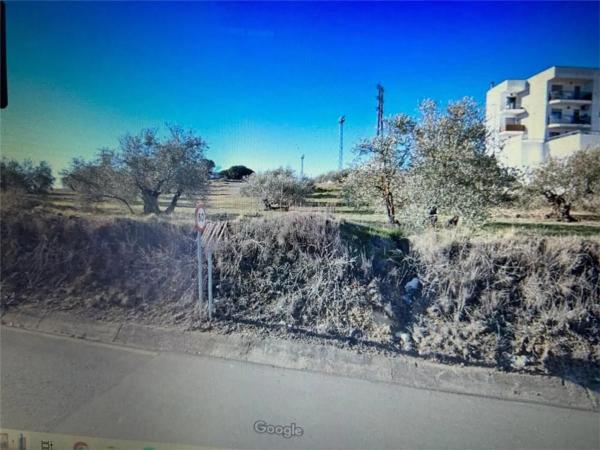 Terreno en A-7202, 21 photo 2