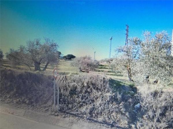 Terreno en A-7202, 21 photo 3