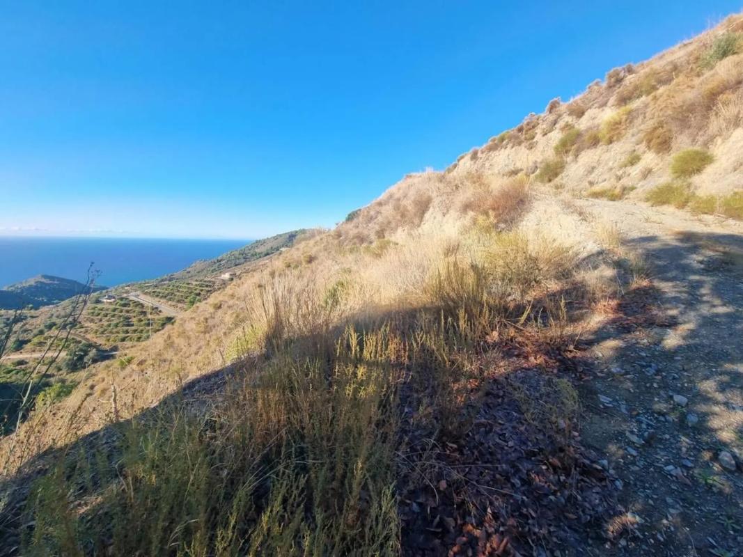 Działka na sprzedaż w Nerja, Malaga photo 5