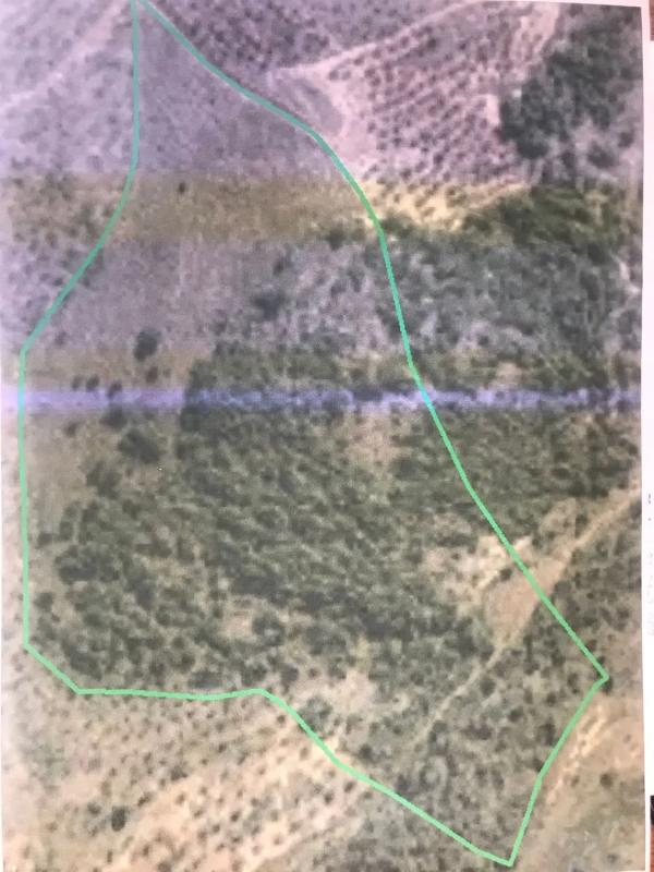 Terreno en venta en Yunquera, Malaga photo 3