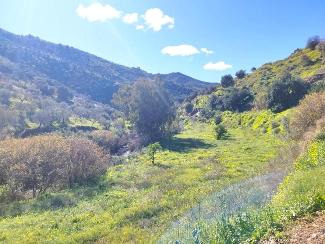 Działka na sprzedaż w Rincón de la Victoria, Malaga photo 4