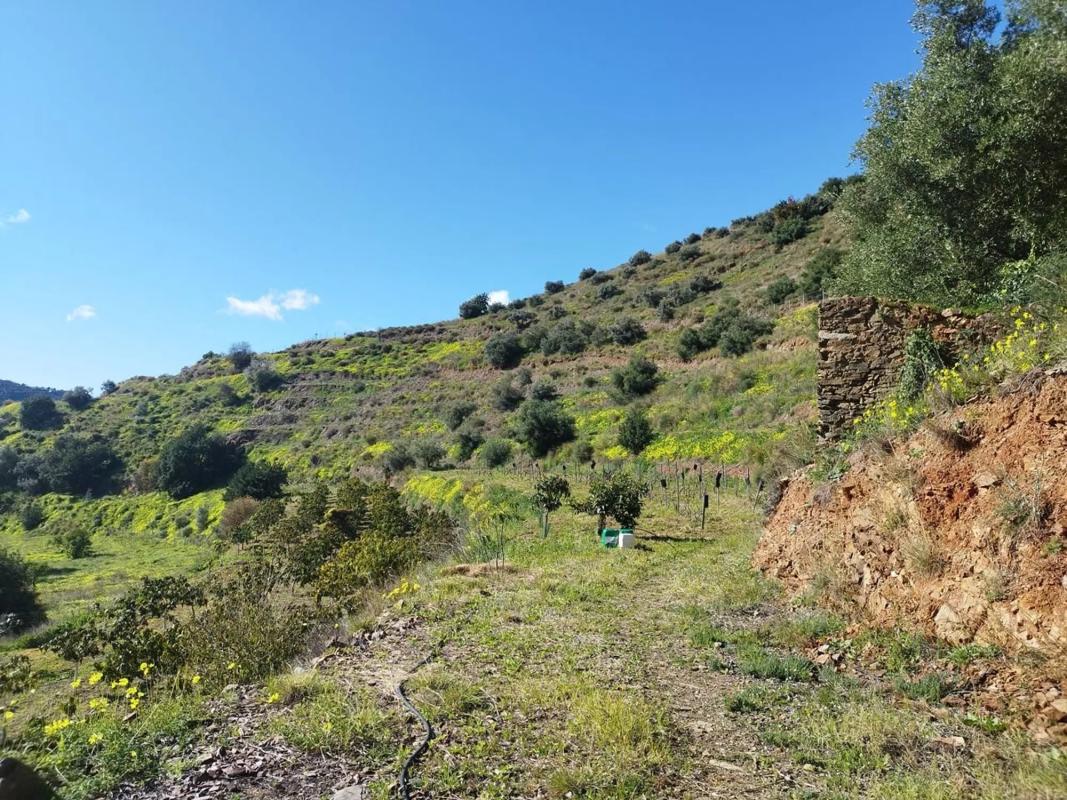 Działka na sprzedaż w Rincón de la Victoria, Malaga photo 5