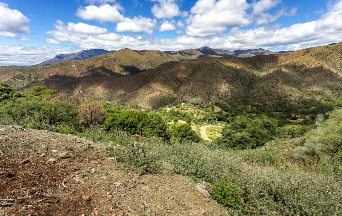 Terreno en venta en Benahavís, Malaga photo 1