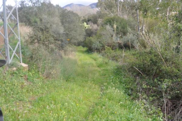 Terreno en Las Lomas - Las Torres - Terrazas de Alhaurín photo 1