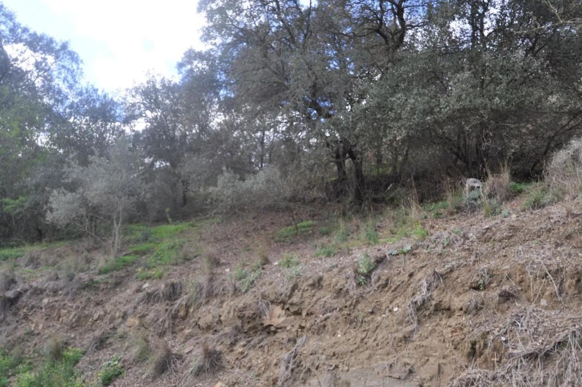 Land for sale in Alhaurín el Grande, Malaga photo 2