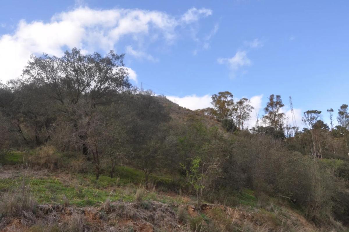 Land for sale in Alhaurín el Grande, Malaga photo 4
