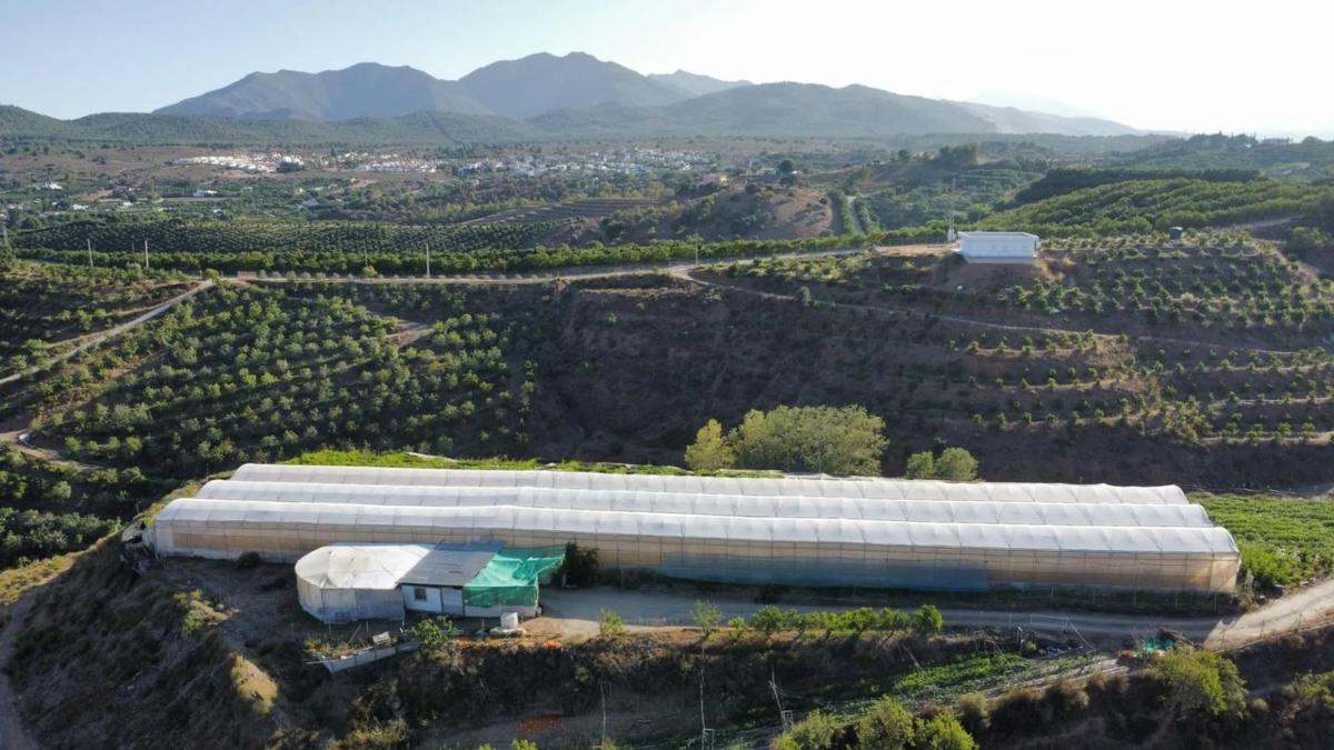 Terreno en venta en Alhaurín el Grande, Malaga photo 2