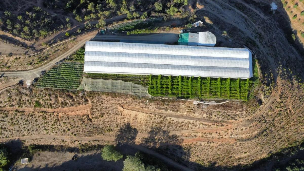 Terreno en venta en Alhaurín el Grande, Malaga photo 3
