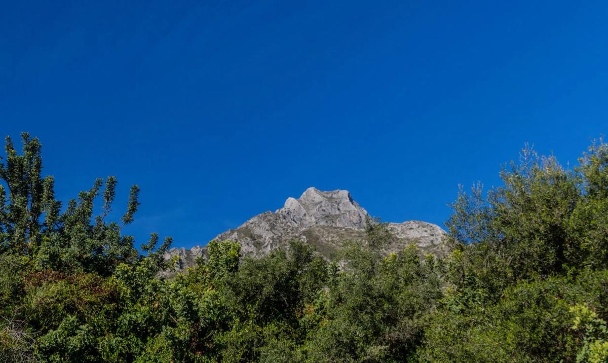 Terreno en venta en Marbella, Malaga photo 5