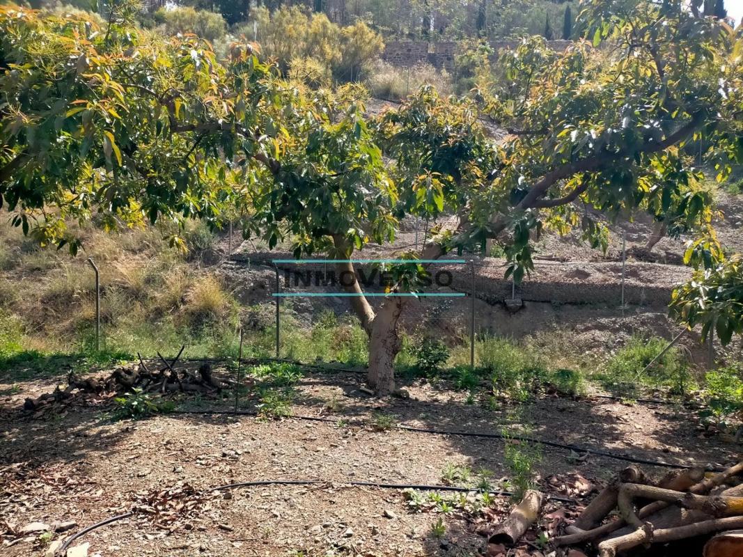 Terreno en venta en Viñuela, Malaga photo 5
