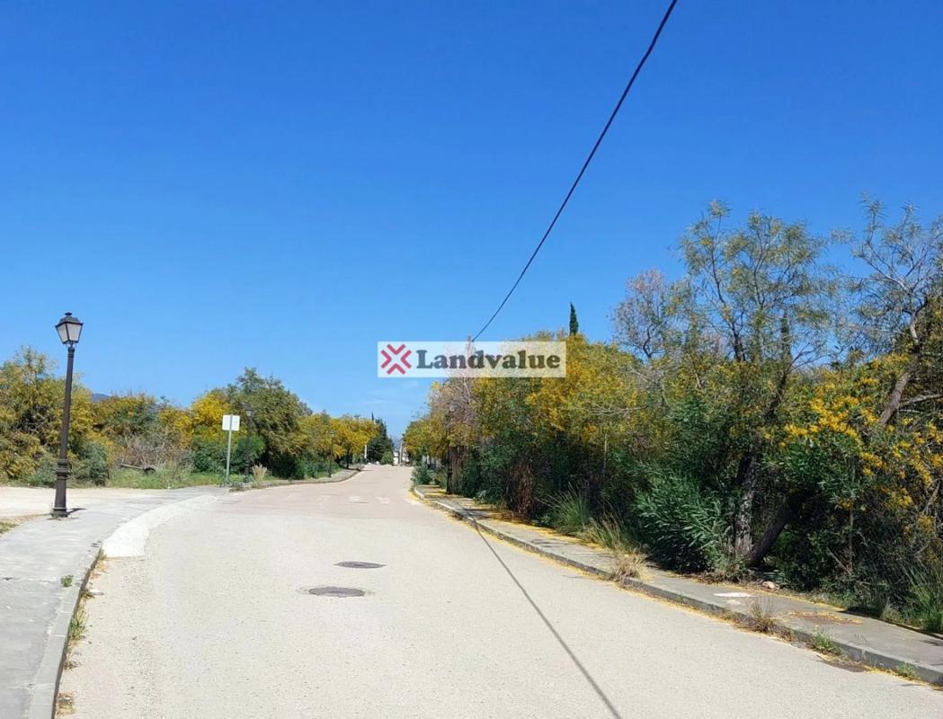 Land for sale in Benahavís, Malaga photo 5