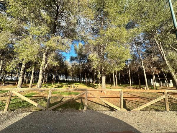Terreno en calle Justicia photo 1