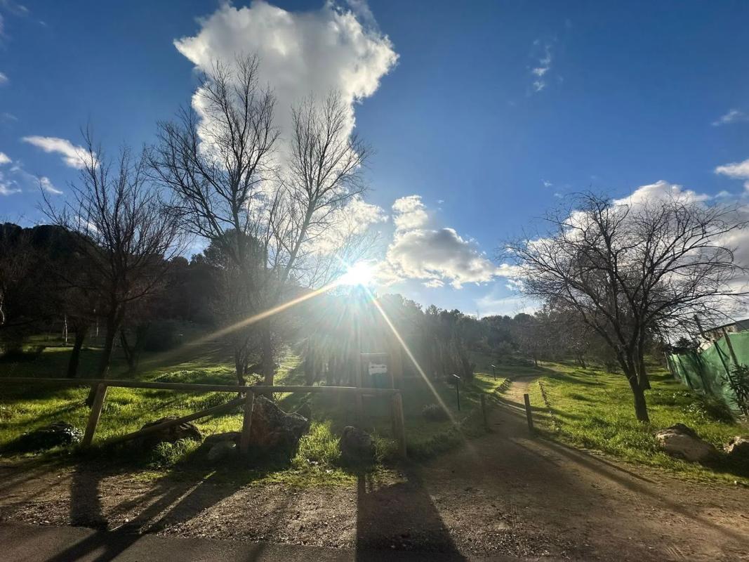 Land for sale in Humilladero, Malaga photo 5