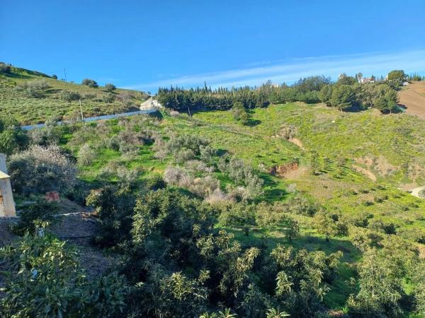 Terreno en Iznate photo 1