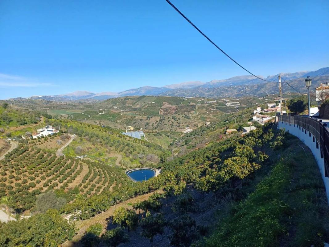Działka na sprzedaż w Iznate, Malaga photo 3