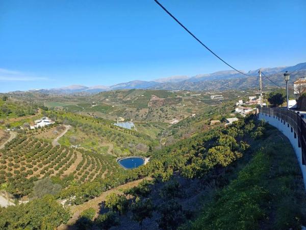Terreno en Iznate photo 3
