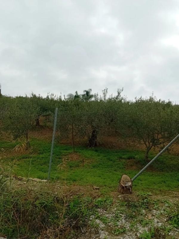 Terreno en venta en Coin, Malaga photo 3