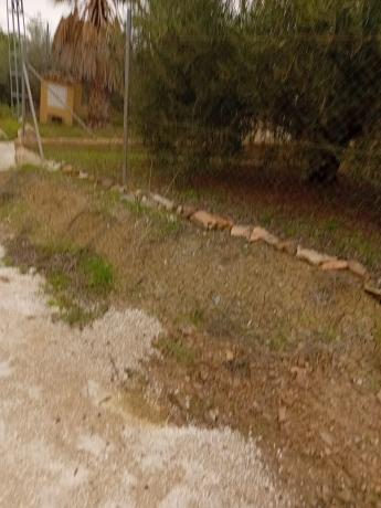 Terreno en Coin photo 4