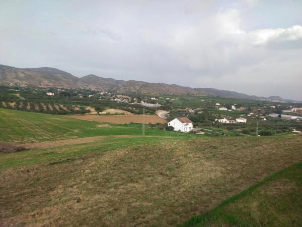 Terreno en Paraje Ballesteros s/n photo 1