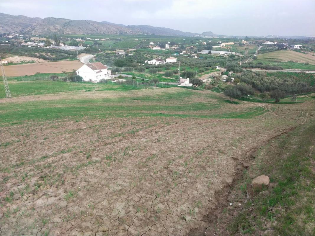 Участок земли на продажу в Алхаурин-де-ла-Торре, Малага photo 3