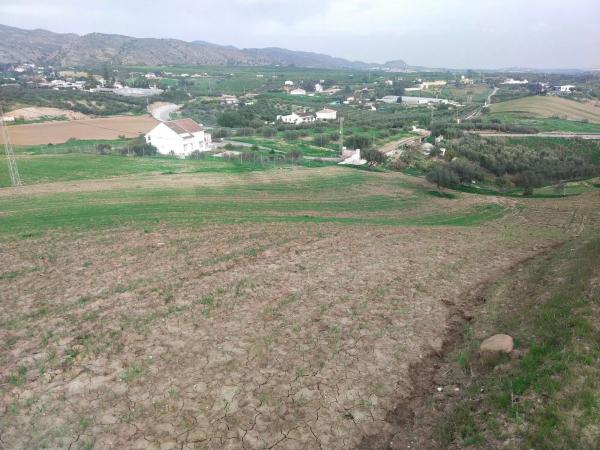 Terreno en Paraje Ballesteros s/n photo 3