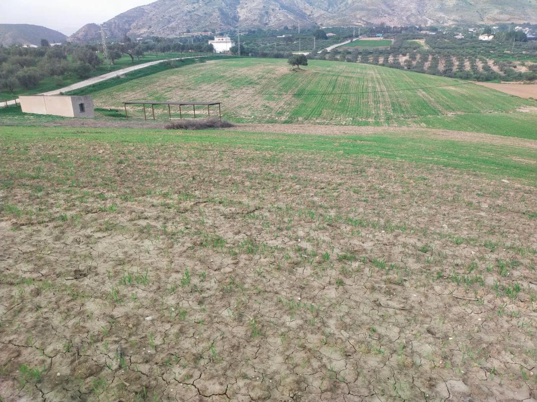 Участок земли на продажу в Алхаурин-де-ла-Торре, Малага photo 4