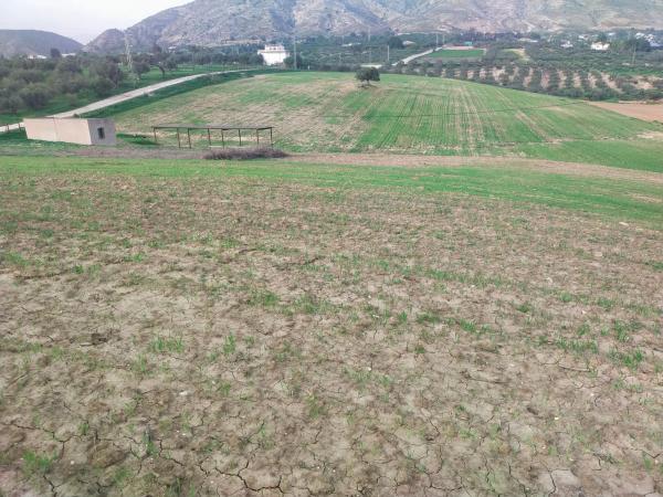 Terreno en Paraje Ballesteros s/n photo 4
