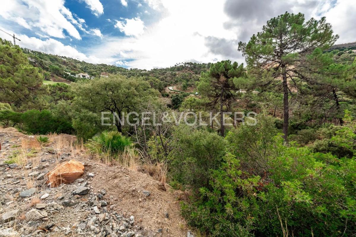 Land for sale in Benahavís, Malaga photo 2