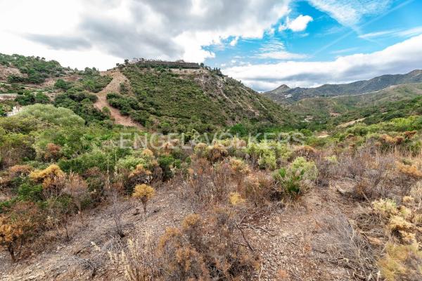 Terreno en A-397 photo 3