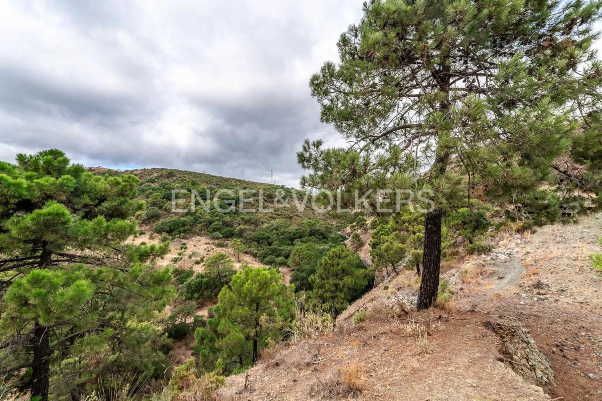 Land for sale in Benahavís, Malaga photo 5