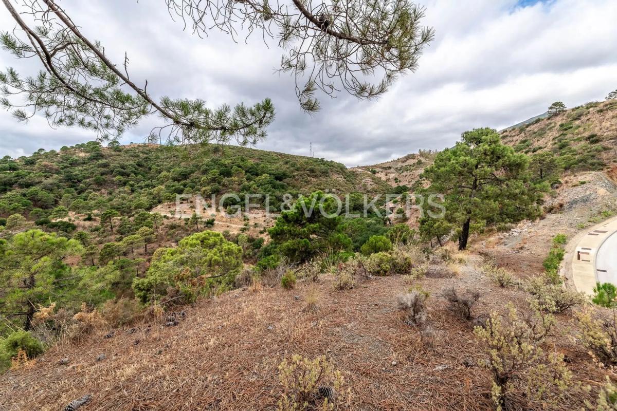 Terreno en venta en Benahavís, Malaga photo 2