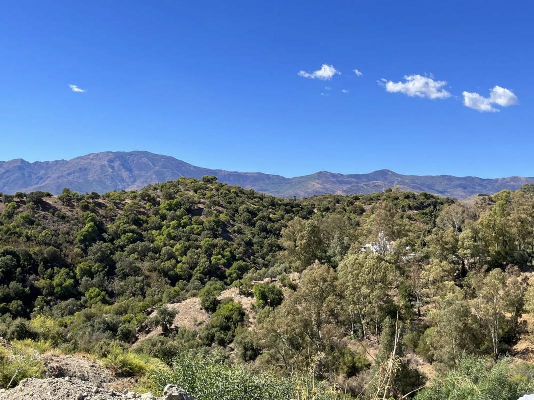 Land for sale in Estepona, Malaga photo 3
