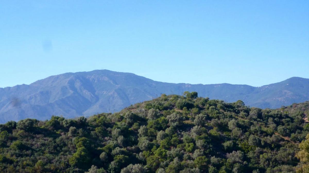 Land for sale in Estepona, Malaga photo 5