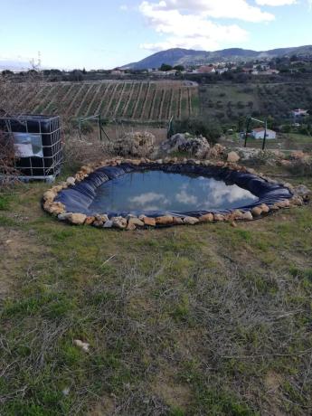 Terreno en Arroyo Hondo photo 4