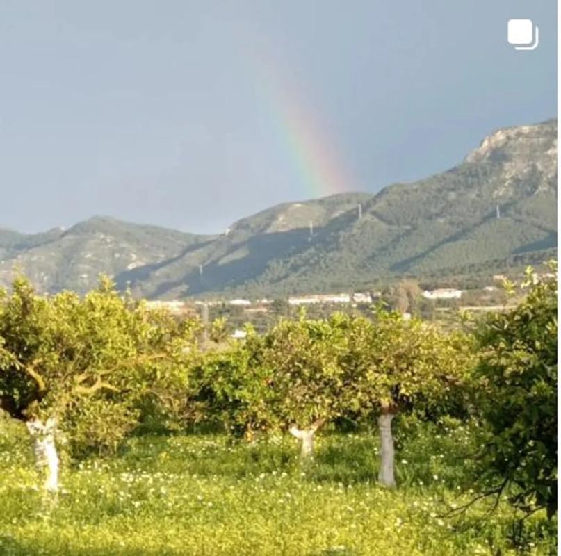 Terreno en venta en Alhaurín el Grande, Malaga photo 1