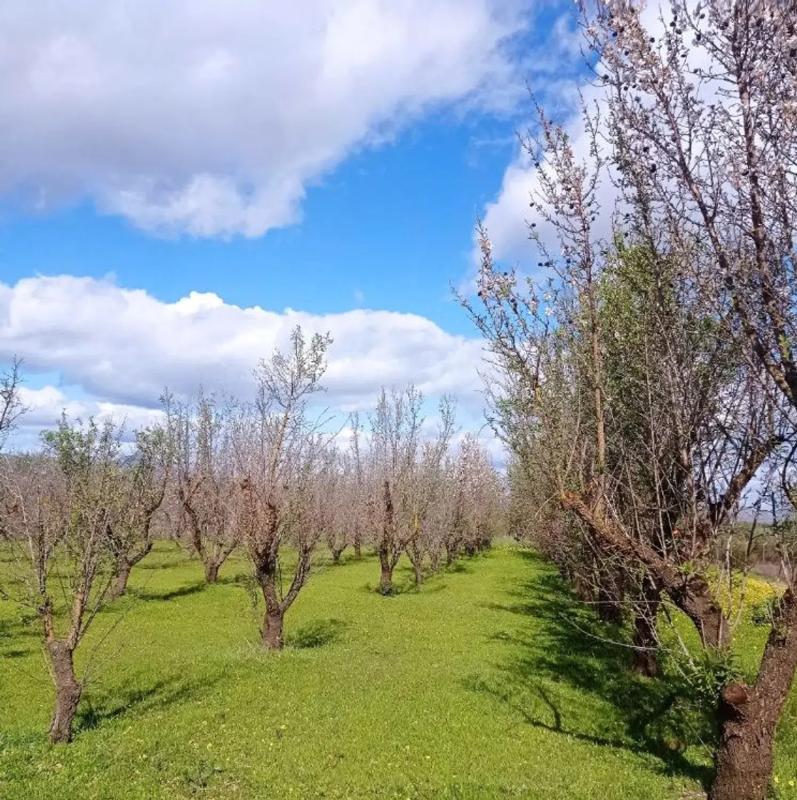 Terreno en venta en Alhaurín el Grande, Malaga photo 2