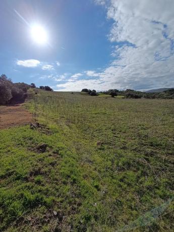 Terreno en El Campillo, 1 photo 3