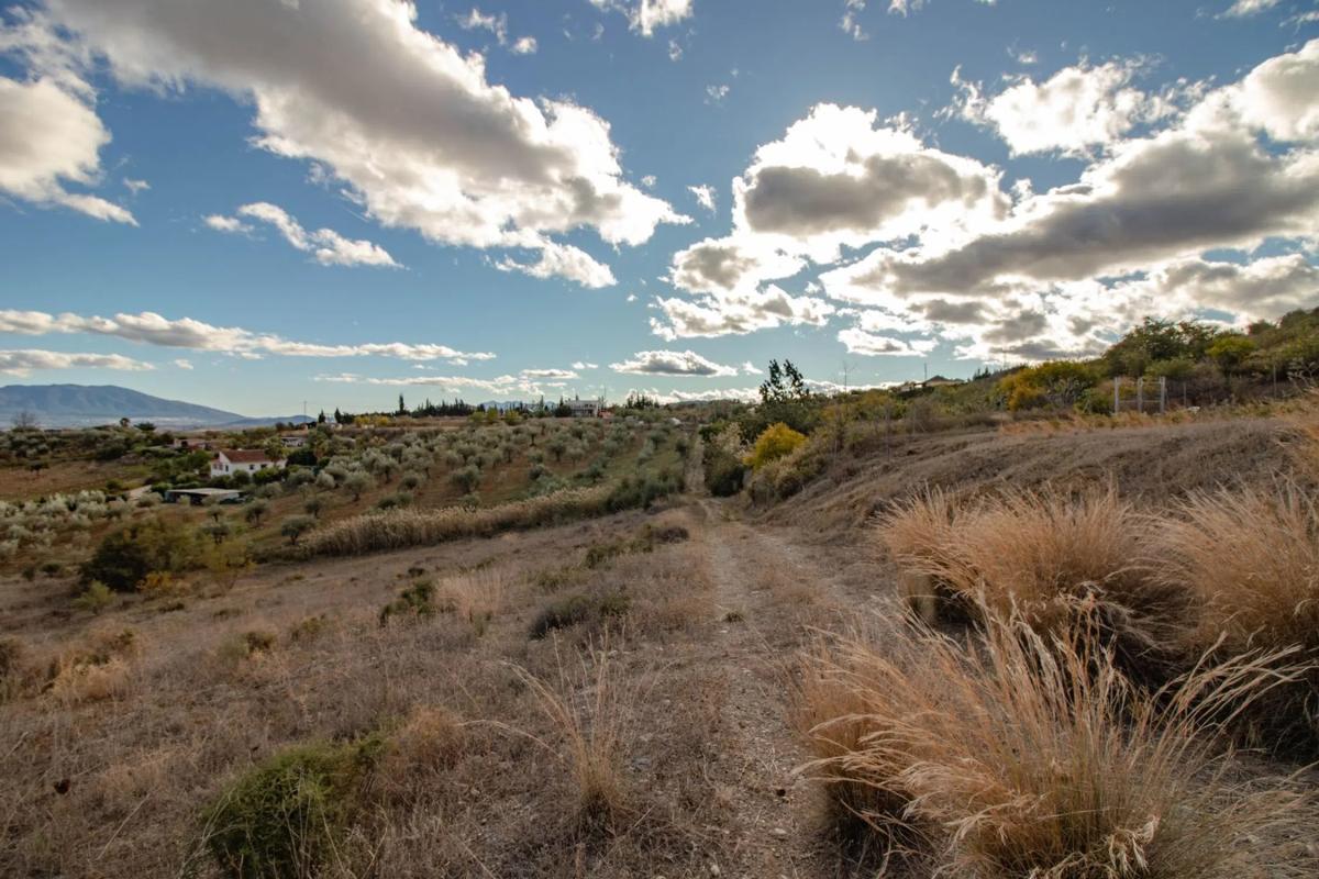 Terreno en venta en Alora, Malaga photo 2